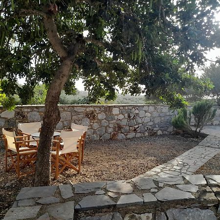 The Two Carob Trees, Traditional Stonehouse, Nikandri, Pirgos Diros Apartment Lefkias Bagian luar foto
