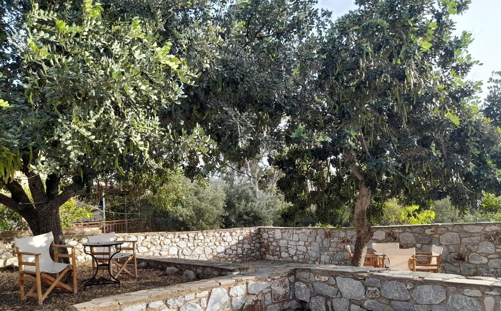 The Two Carob Trees, Traditional Stonehouse, Nikandri, Pirgos Diros Apartment Lefkias Bagian luar foto